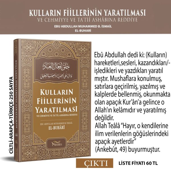IMG-20210329-WA0002 Kulların Fiillerinin Yaratılması