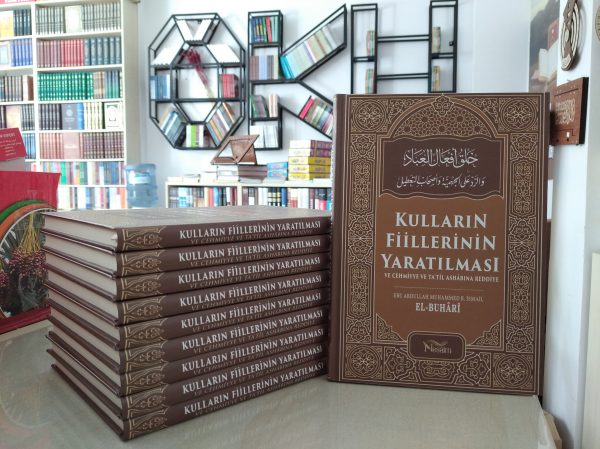 IMG_20210407_142149_1 Kulların Fiillerinin Yaratılması