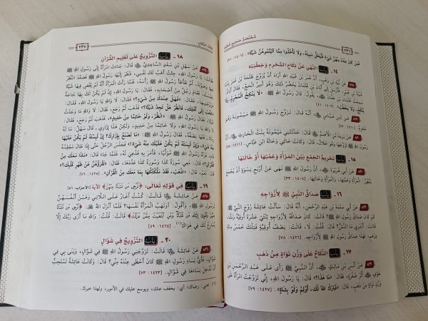 IMG_20221012_171746 Muhtasar Sahih Müslim - مختصر صحيح مسلم