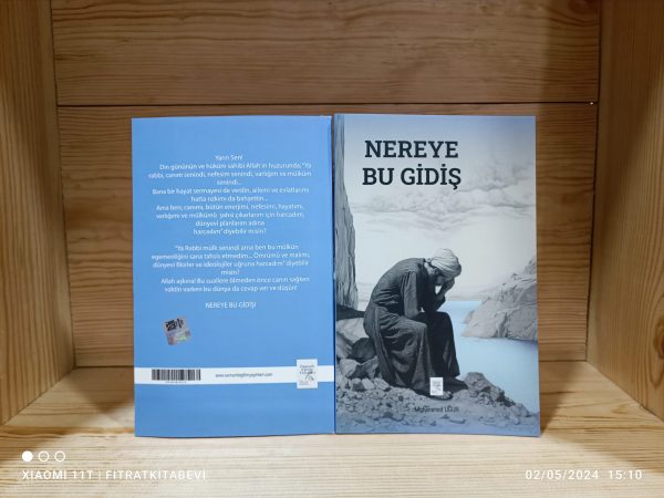 Nereye Bu Gidiş