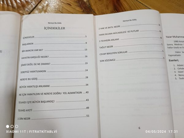 Nereye Bu Gidiş