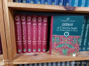 El Camiu's Sağır min Ahadisi'l Beşiri'n Nezir (7 Cilt)