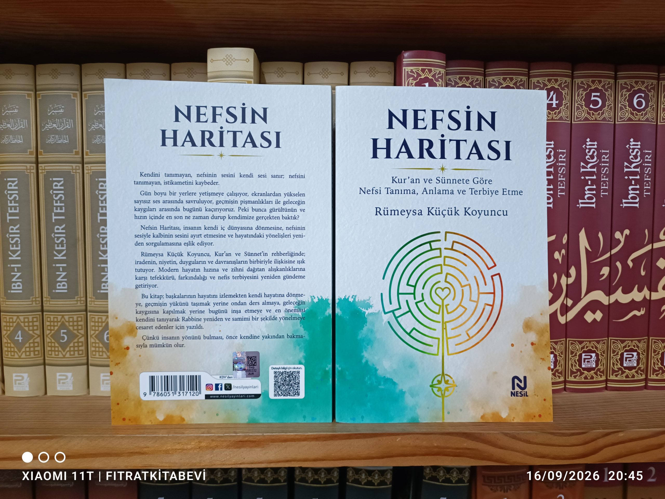Nefsin Haritası